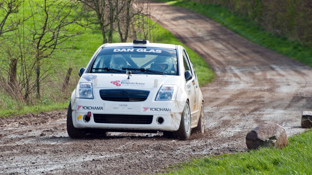 Frank Nielsen og Louise Bang Christiansen kørte rigtigt hurtige tider på grus strækningerne ved Süderbrarup i første afdeling af Mini Rally Syd - turneringen
(Foto: rallypics.dk - Viggo Johansen)